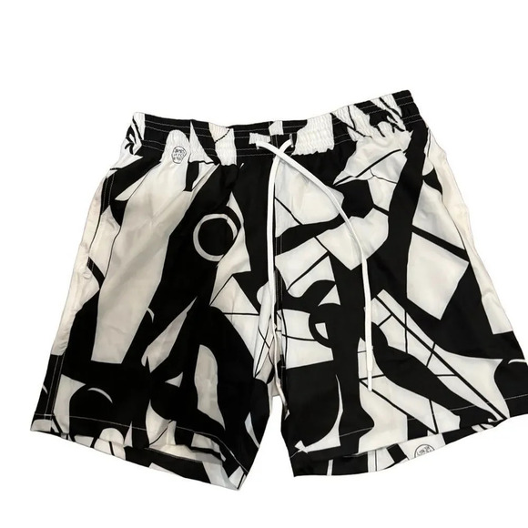 NWT Rare Men’s Swimsuit Swiminista x James Peter Henry Large - Picture 2 of 3